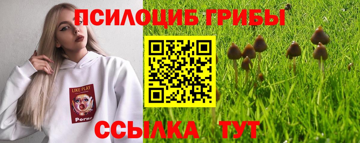 Псилоцибиновые грибы прущие грибы Алейск