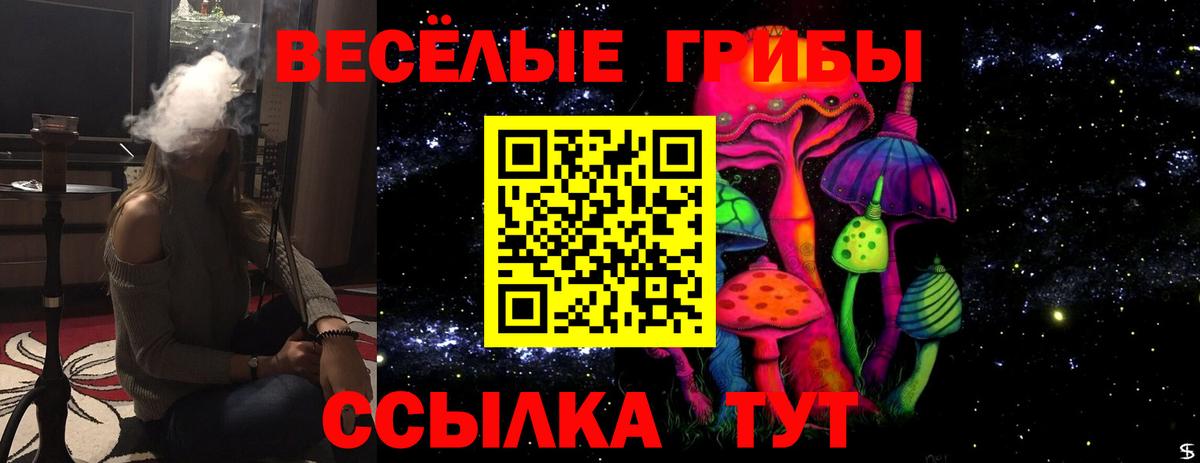 Псилоцибиновые грибы прущие грибы  где купить наркоту  Алейск  Вход с VPN 
